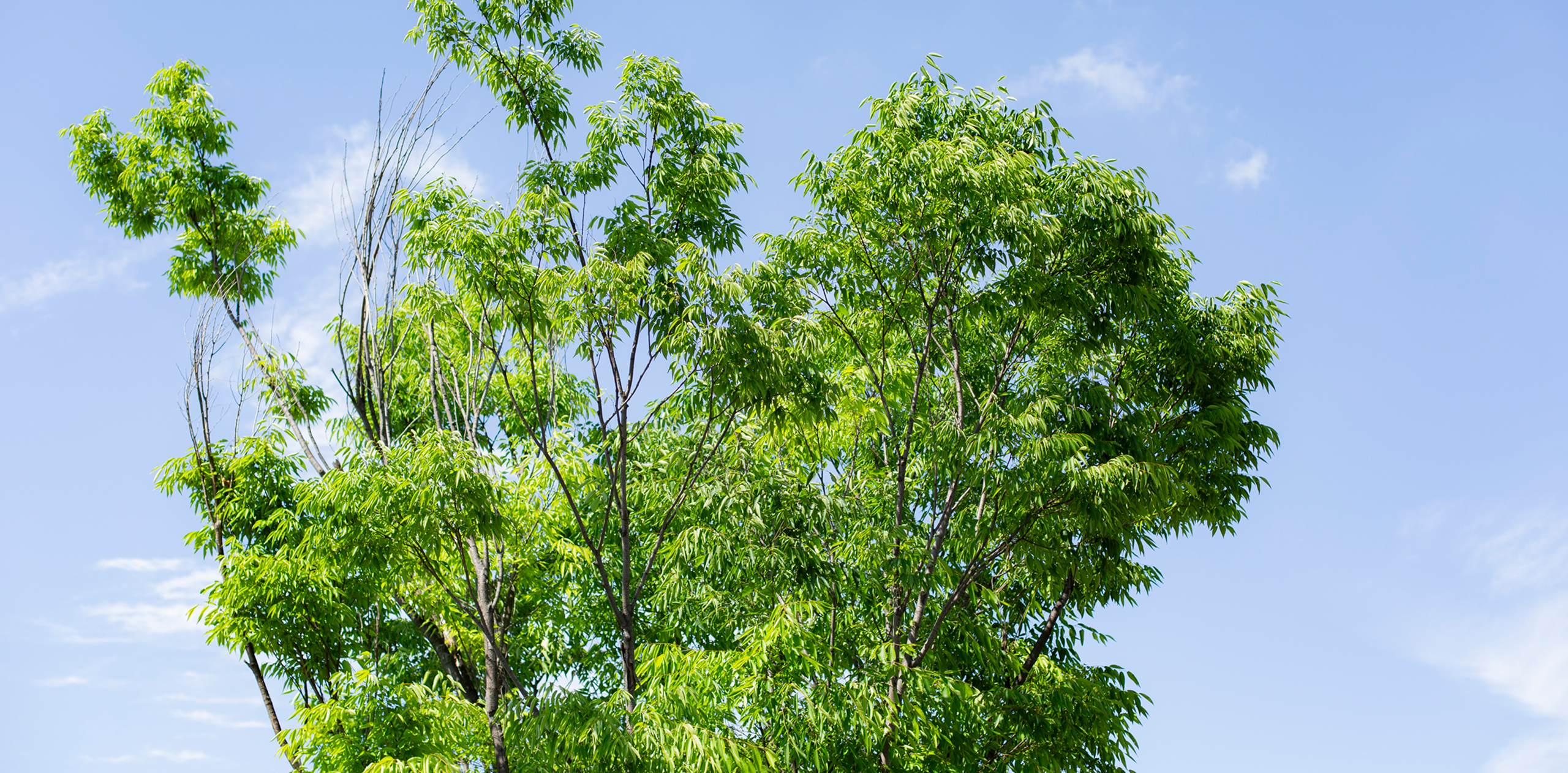 未就園児/満3歳児クラス