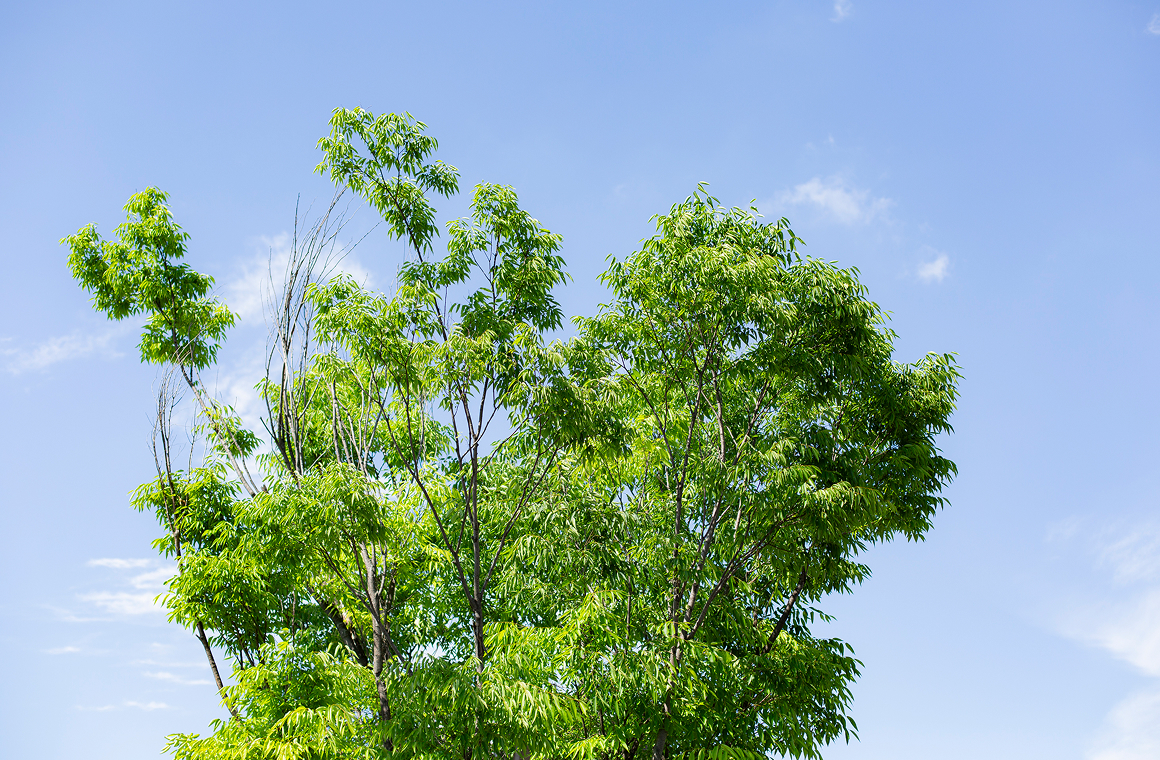 未就園児／満3歳児クラス